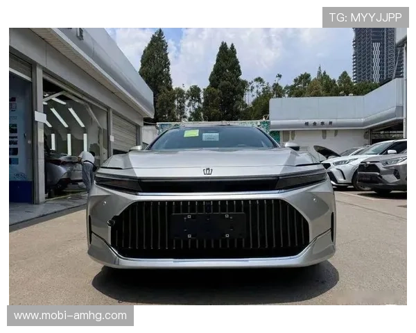 皇冠官方旗舰店官网便捷购物体验，让您轻松购买到心仪的皇冠系列产品